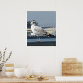 Poster - Mouette sur la montre (Cuisine)