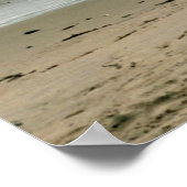 Poster Mouette sur la plage (Coin)
