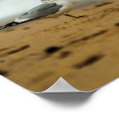 Poster Mouette sur la plage, Floride (Coin)