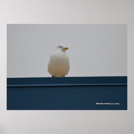 Poster Mouette sur le toit bleu II (Devant)