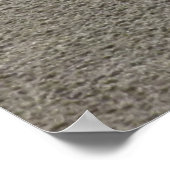 Poster Mouette sur une plage de sable (Coin)