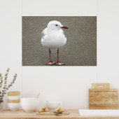 Poster Mouette sur une plage de sable (Cuisine)