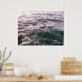 POSTER MOUETTE VOLANT AU-DESSUS DES VAGUES (Cuisine)