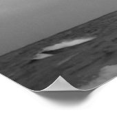 Poster Mouettes (Coin)