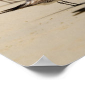 Poster Mouettes (Coin)