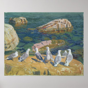 Poster Mouettes, 1910