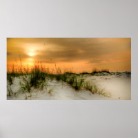 Mouettes au lever du soleil