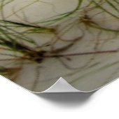 Poster Mouettes au lever du soleil (Coin)