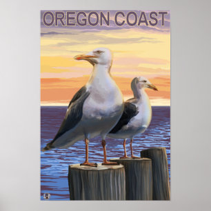 Poster Mouettes de la côte de l'Oregon