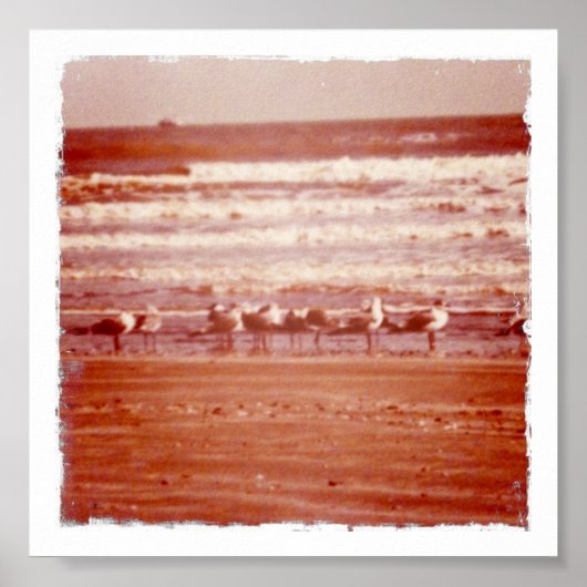 Poster Mouettes de plage Holly (Devant)