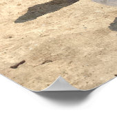 Poster Mouettes En Bord De Mer (Coin)