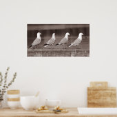 Poster Mouettes en rangs (Cuisine)