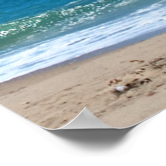 Poster Mouettes mf (Coin)