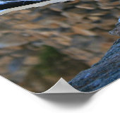 Poster Mouettes, Monterey (Coin)