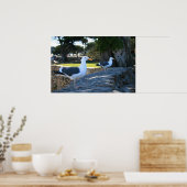 Poster Mouettes, Monterey (Cuisine)