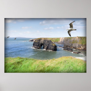 Poster Mouettes rocheuses vierges dans un capot