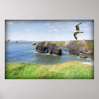 Poster Mouettes rocheuses vierges dans un capot