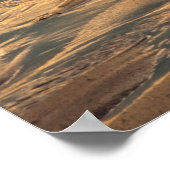 Poster Mouettes Sur La Plage Au Coucher Du Soleil (Coin)