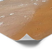 Poster Mouettes sur un rivage avec vagues océaniques (Coin)