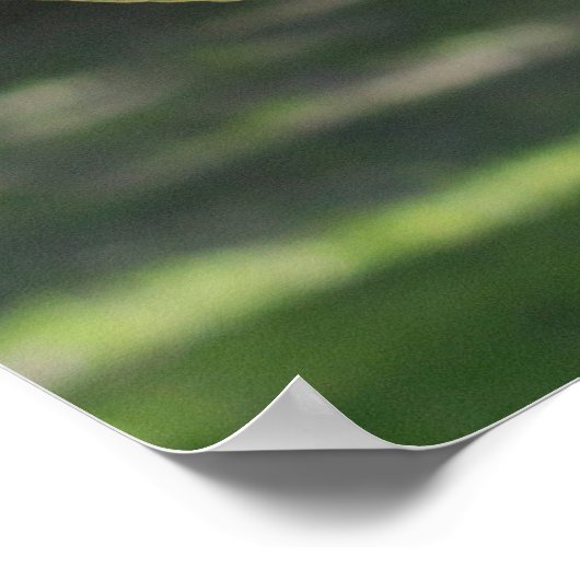 Poster Mouflon Ram (Coin)