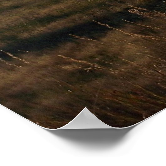 Poster Moulin à vent américain (Coin)