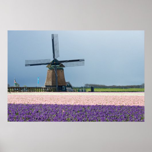 Poster Moulin à vent traditionnel avec des fleurs roses e (Devant)