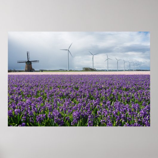 Poster Moulin à vent traditionnel et moderne en Hollande (Devant)