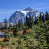 Poster Mount Baker, Washington Fall Color