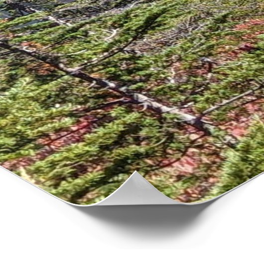 Poster Mount Baker, Washington Fall Color (Coin)