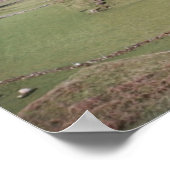 Poster Mountain Field, West Donegal (Coin)