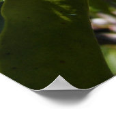 Poster Mountain Laurel 46 ~ imprimer (Coin)