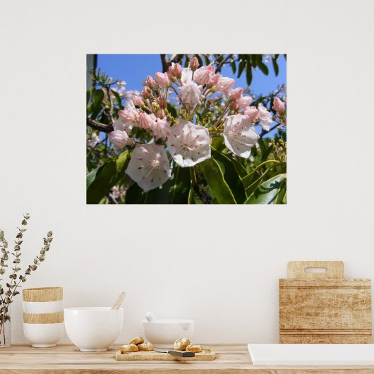 Poster Mountain Laurel 46 ~ imprimer (Cuisine)