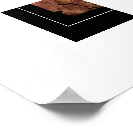 Poster-Mountain Lion Poster (Hoek)