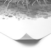 Poster Mountain Lion Puma Big Cat Black White (Coin)