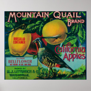 Poster Mountain Quail Apple Crate Étiquette