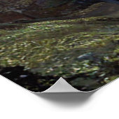 POSTER MOUNTAIN TRAIL (Coin)
