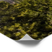 Poster Mountain View (Coin)