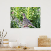 Poster Mourning Dove (Cuisine)