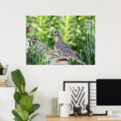 Poster Mourning Dove (Bureau à domicile)