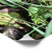 Poster Mouson rouge, nain de pixel, Pixel Art (Coin)