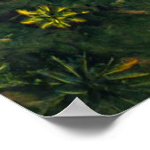 Poster Mousse verte sur roche noire (Coin)