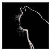 Poster Moustaches dans le noir | Silhouette de moustaches (Devant)