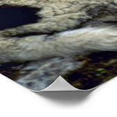 Poster Mouton (Coin)