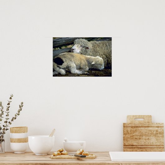 Poster Mouton (Cuisine)