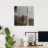 Poster Mouton (Bureau à domicile)