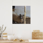 Poster Mouton (Cuisine)