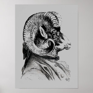 Poster Mouton Bighorn En Costume