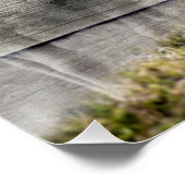 Poster Mouton d'agneau de bébé (Coin)