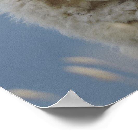 Poster mouton fun (Coin)