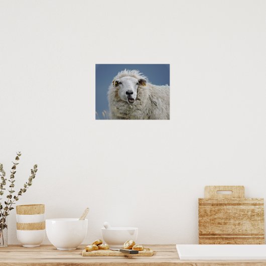 Poster mouton fun (Cuisine)